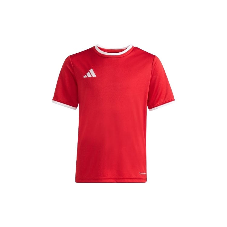 Product main image - 2676f8e9-e5f5-466d-bf1f-2e5678dc41b1