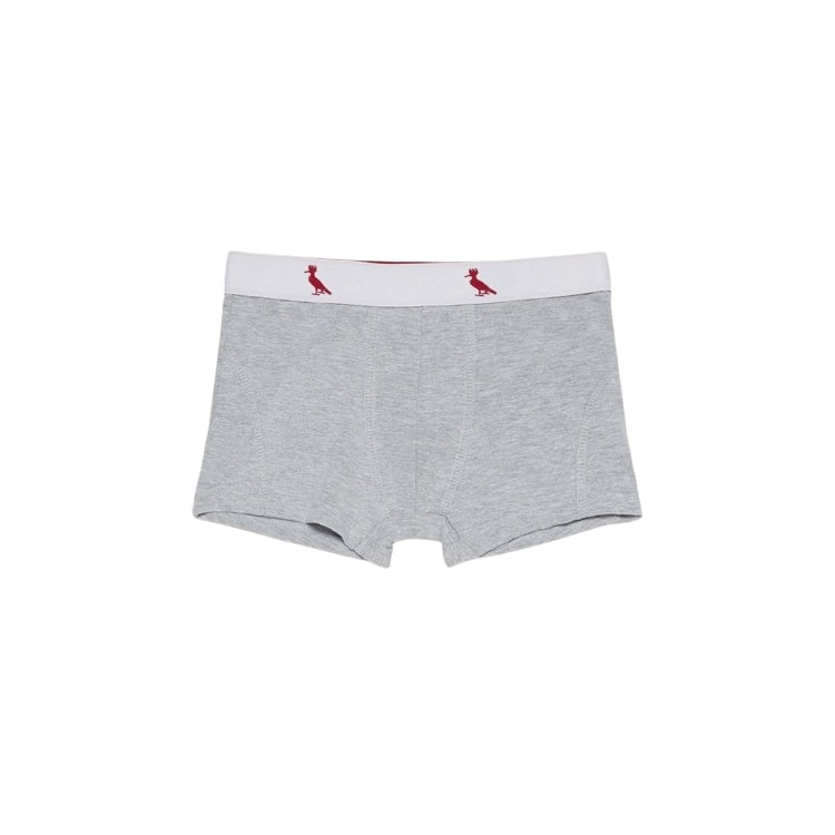 CUECA RESERVA 0059185 - Cinza