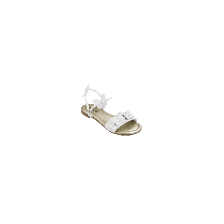 Product main image - 8443d700-f0f1-4bb2-befd-799dbe1d7506