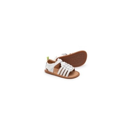 Product main image - b8346b08-ba20-44b0-9fdf-4f51c700f034