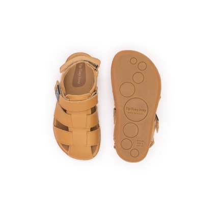 image_9d080baf-d388-477f-9f0a-3fa4bef8f552