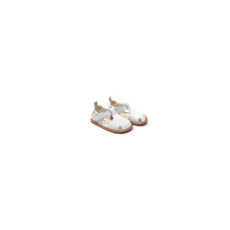 Product main image - a66a002f-c835-43ec-8c90-e597ae8ee6e9