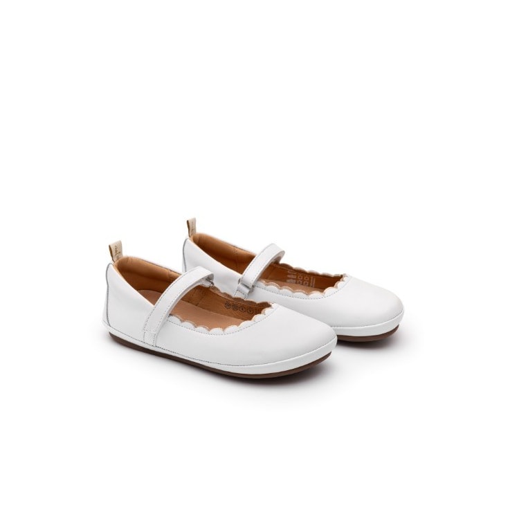 Product main image - 8543ab2a-0f4a-4cc8-8bca-44b2e8795151