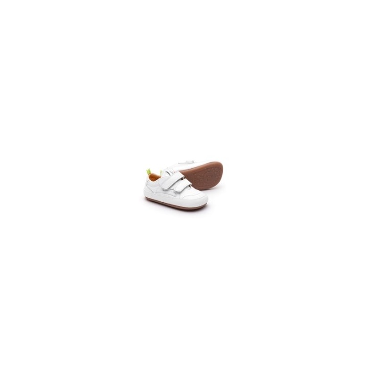 Product main image - 98384916-d837-4b41-ace7-5a26b9a22502