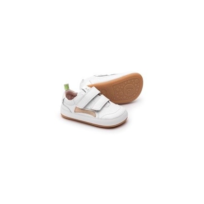 Product main image - d7b3515c-f682-4f57-a291-2a3beca727f8
