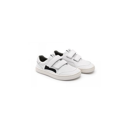 Product main image - 42481a12-f1ec-4552-be7c-78055145636a